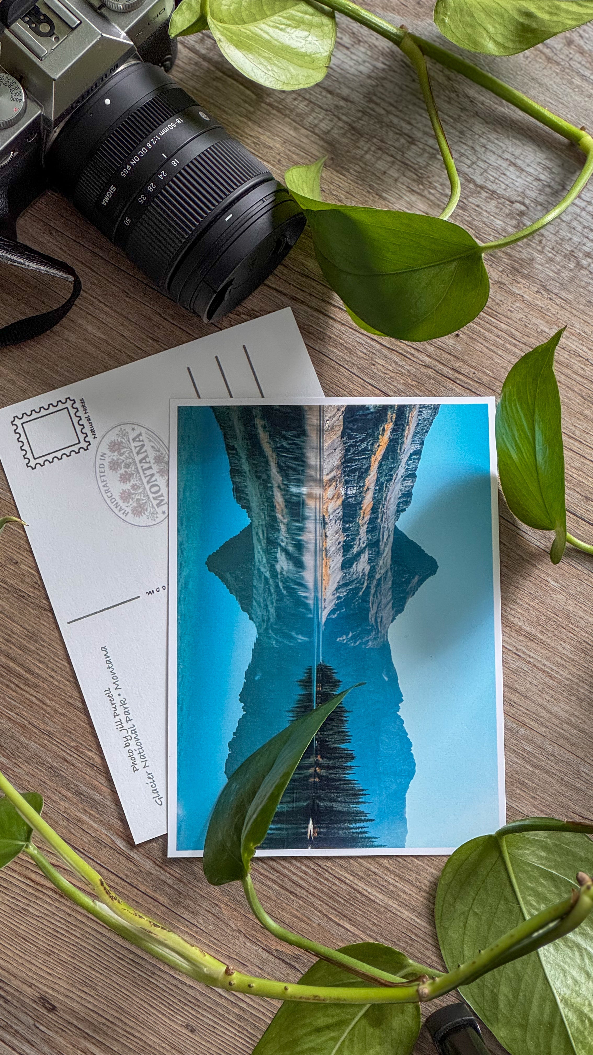 Landscape Collection