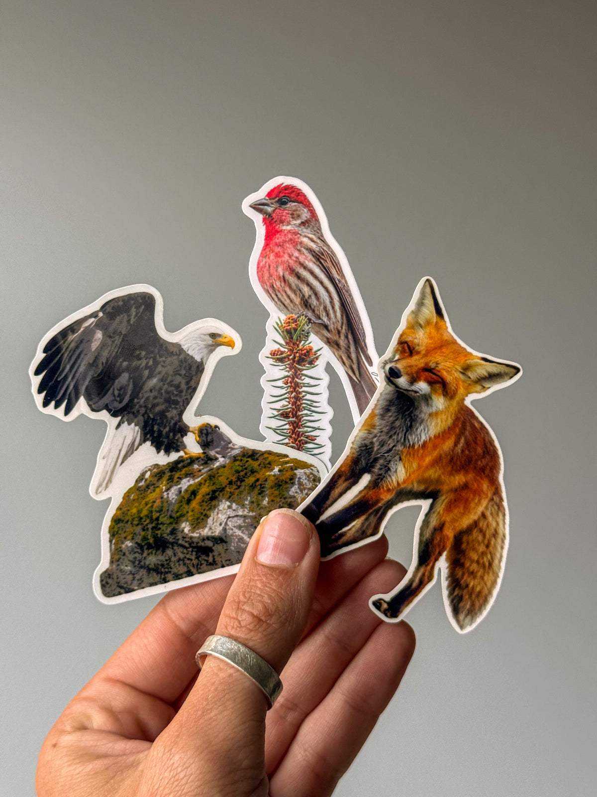 Smiling Fox Sticker Natural Notes