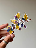 Blackberry Vine
