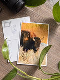 Montana Postcards
