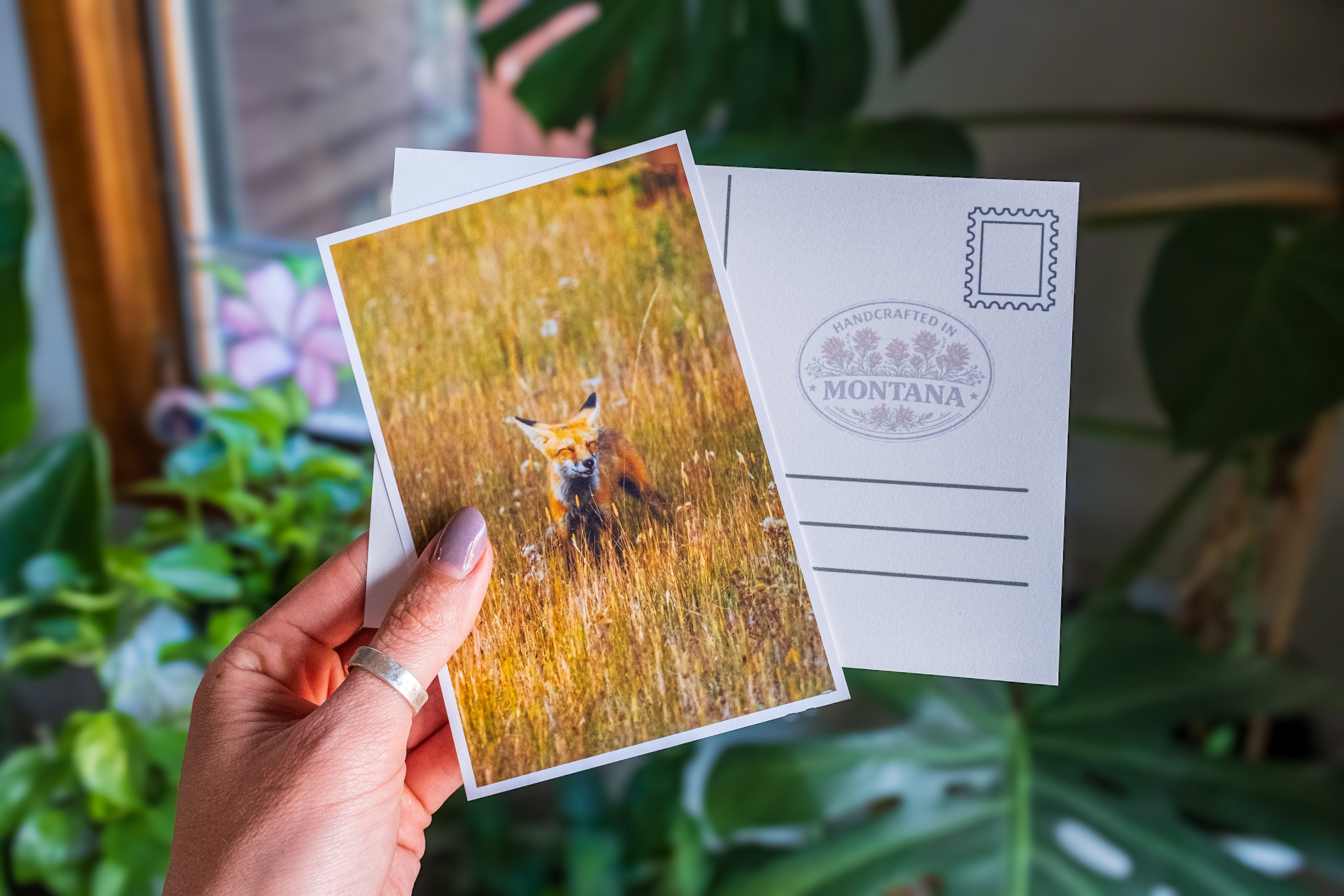 Wildlife Postcards