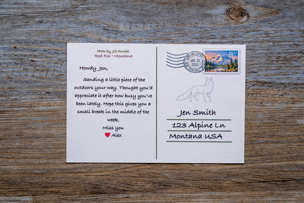 Personalized Postcard (Printed & Mailed)