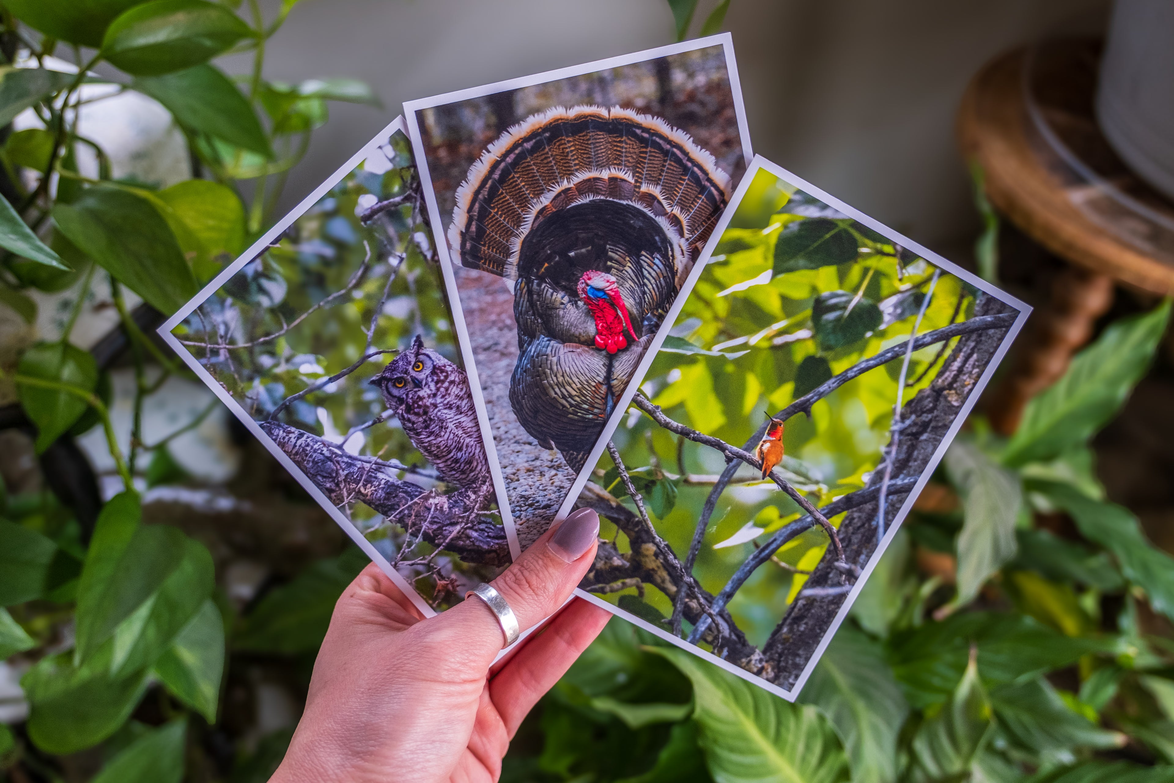 Pick Any 3 - 4x6 for $10