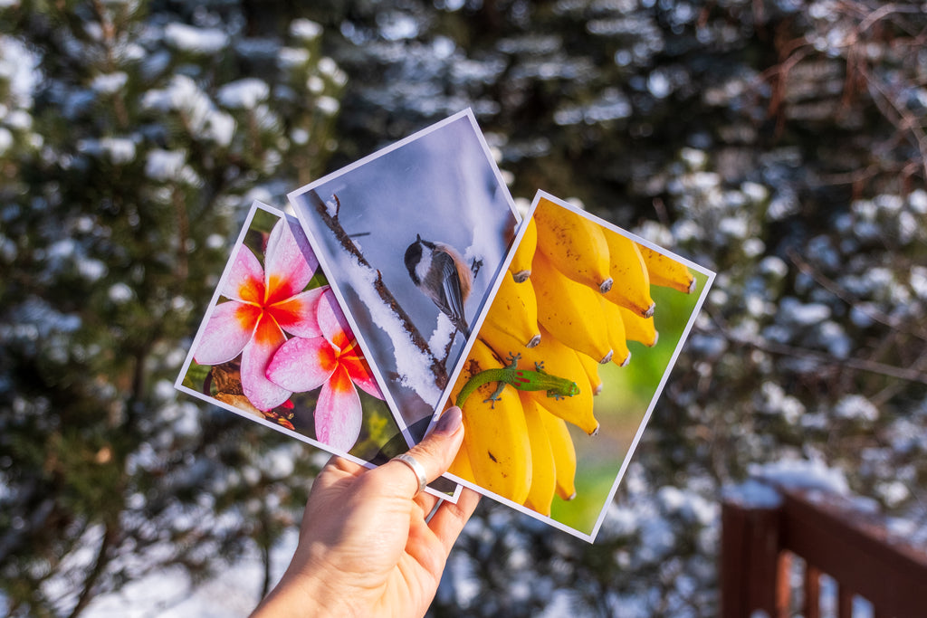 Pick Any 3 - 4x6 for $10