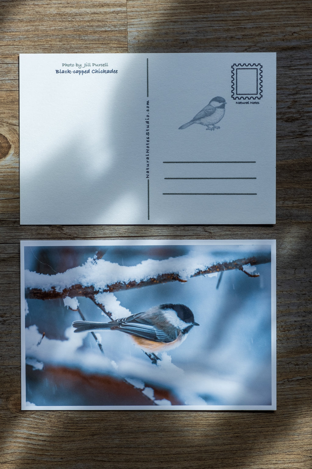 Bird Postcards