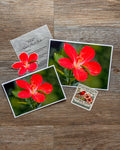 Postcard Club Membership