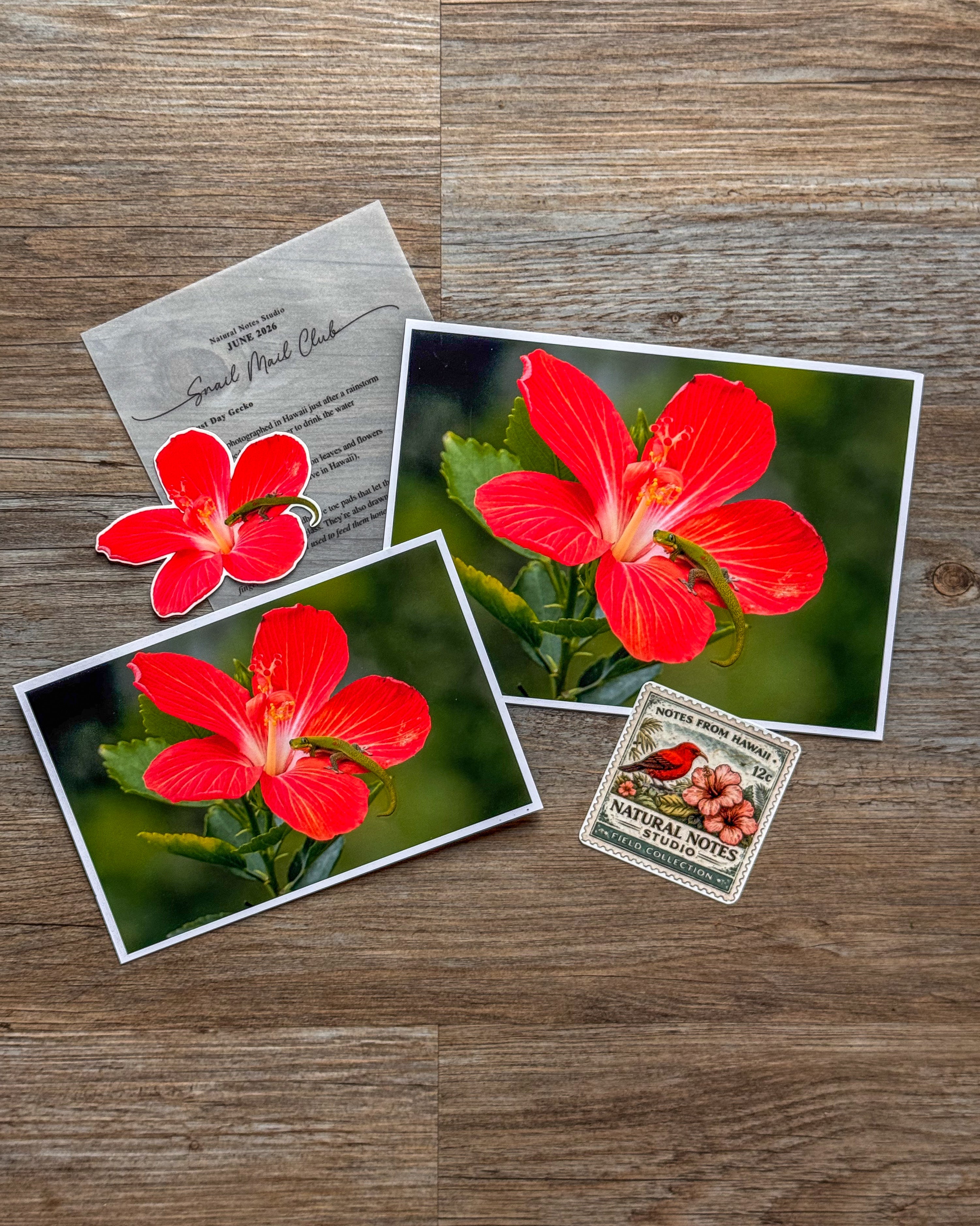 Postcard Club Membership