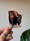Bison Sticker