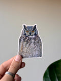 Great Horned Owl Sticker