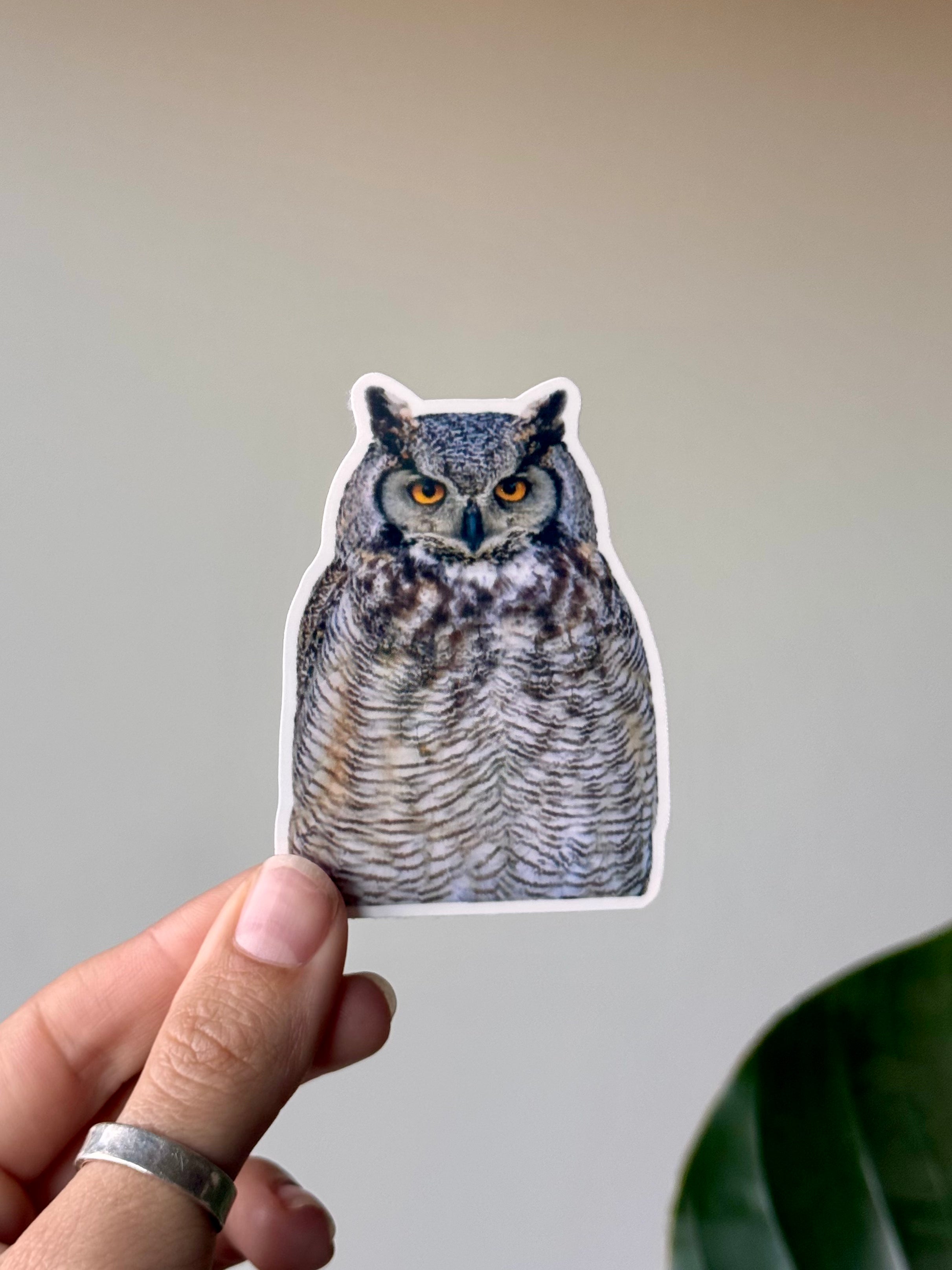 Great Horned Owl Sticker