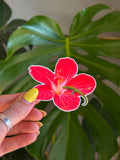 Gecko Sticker