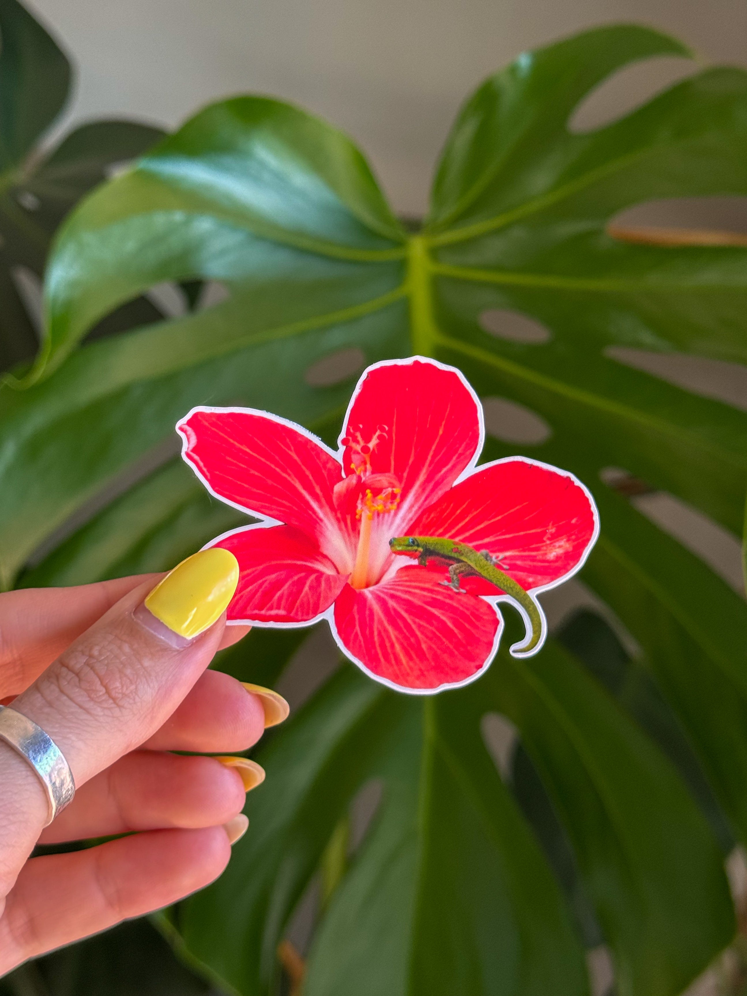 Gecko Sticker