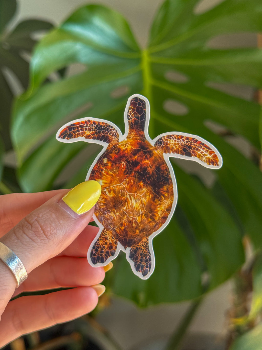 Photography Stickers