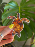 Green Sea Turtle Sticker