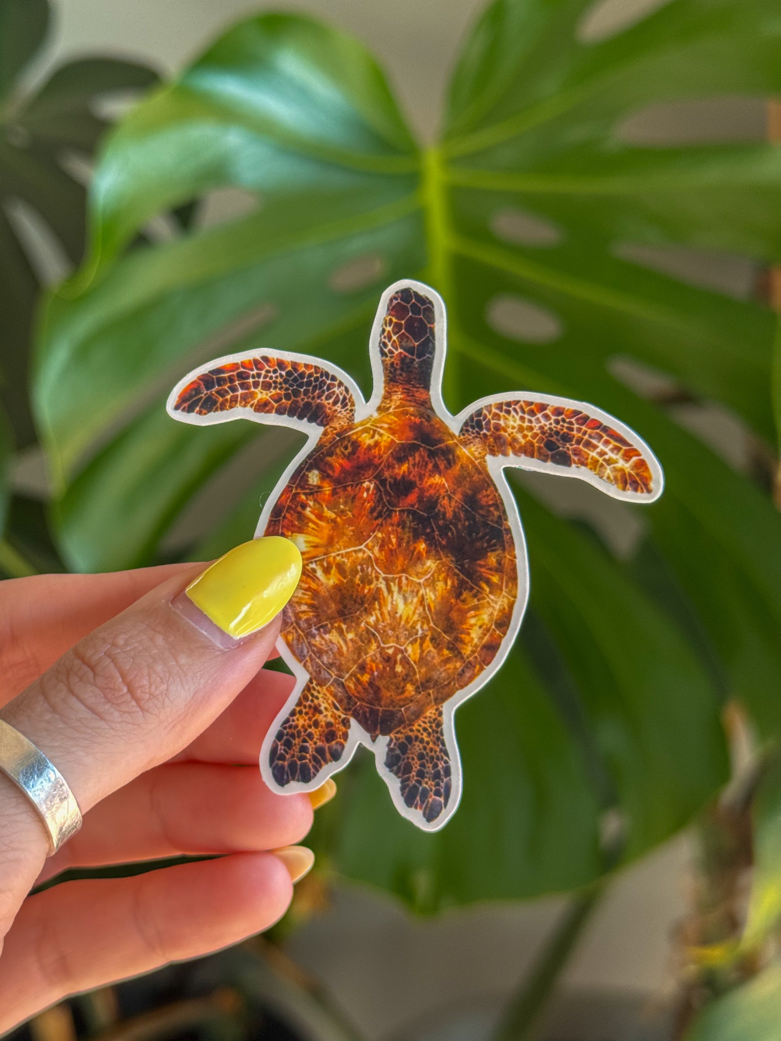 Green Sea Turtle Sticker