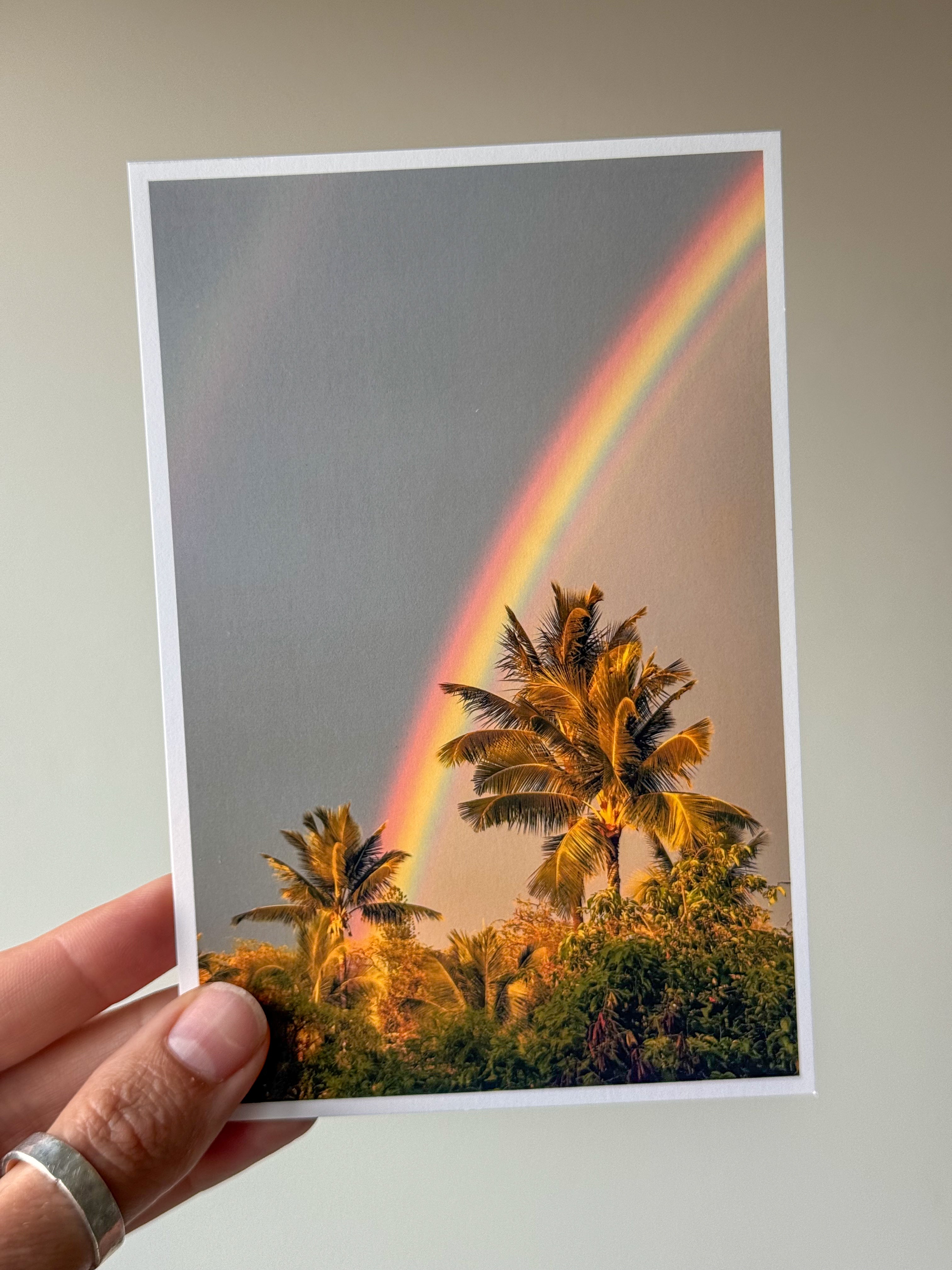 Tropical Rainbow