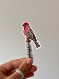 House Finch Sticker