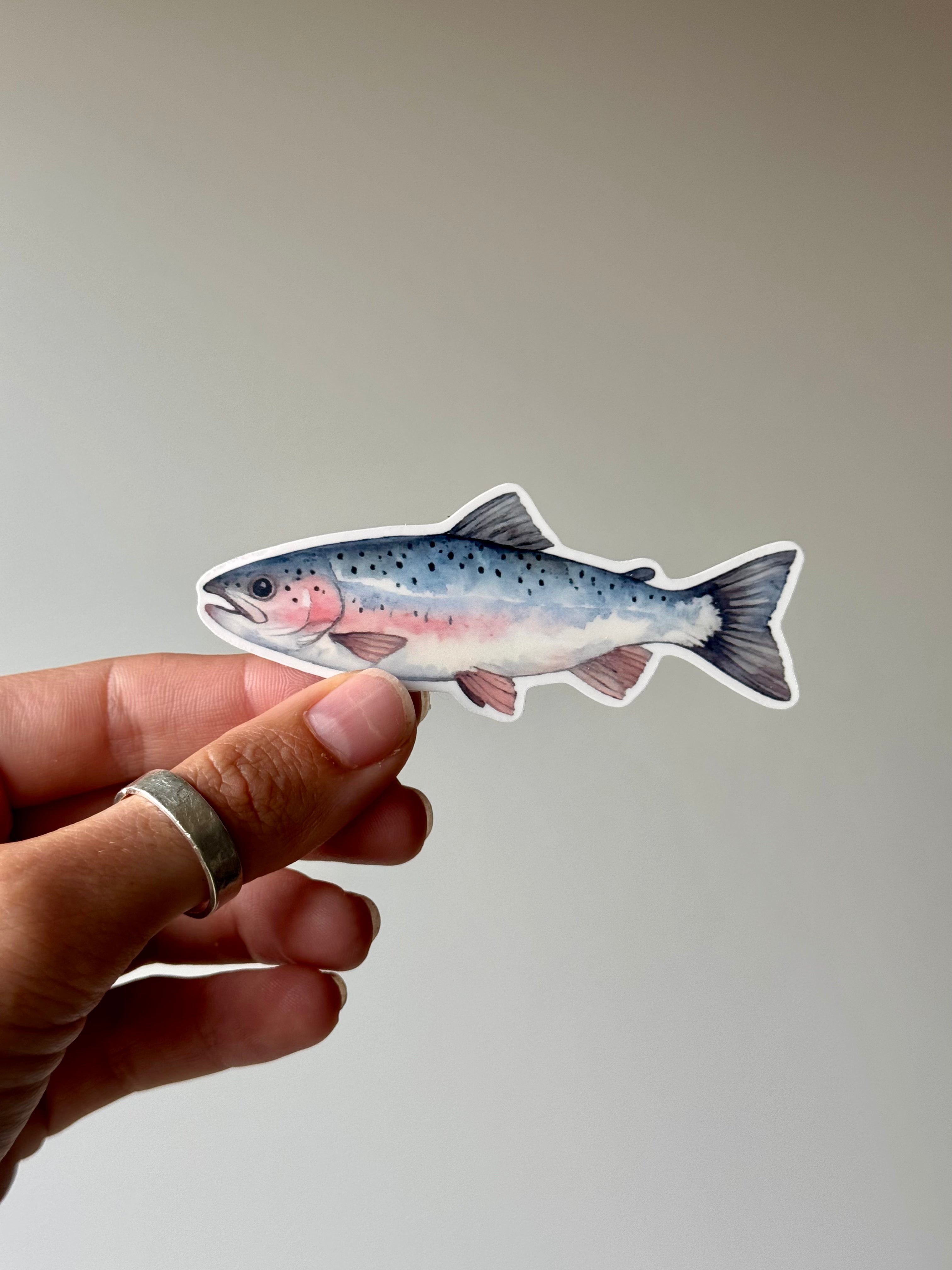 Silver Salmon Sticker