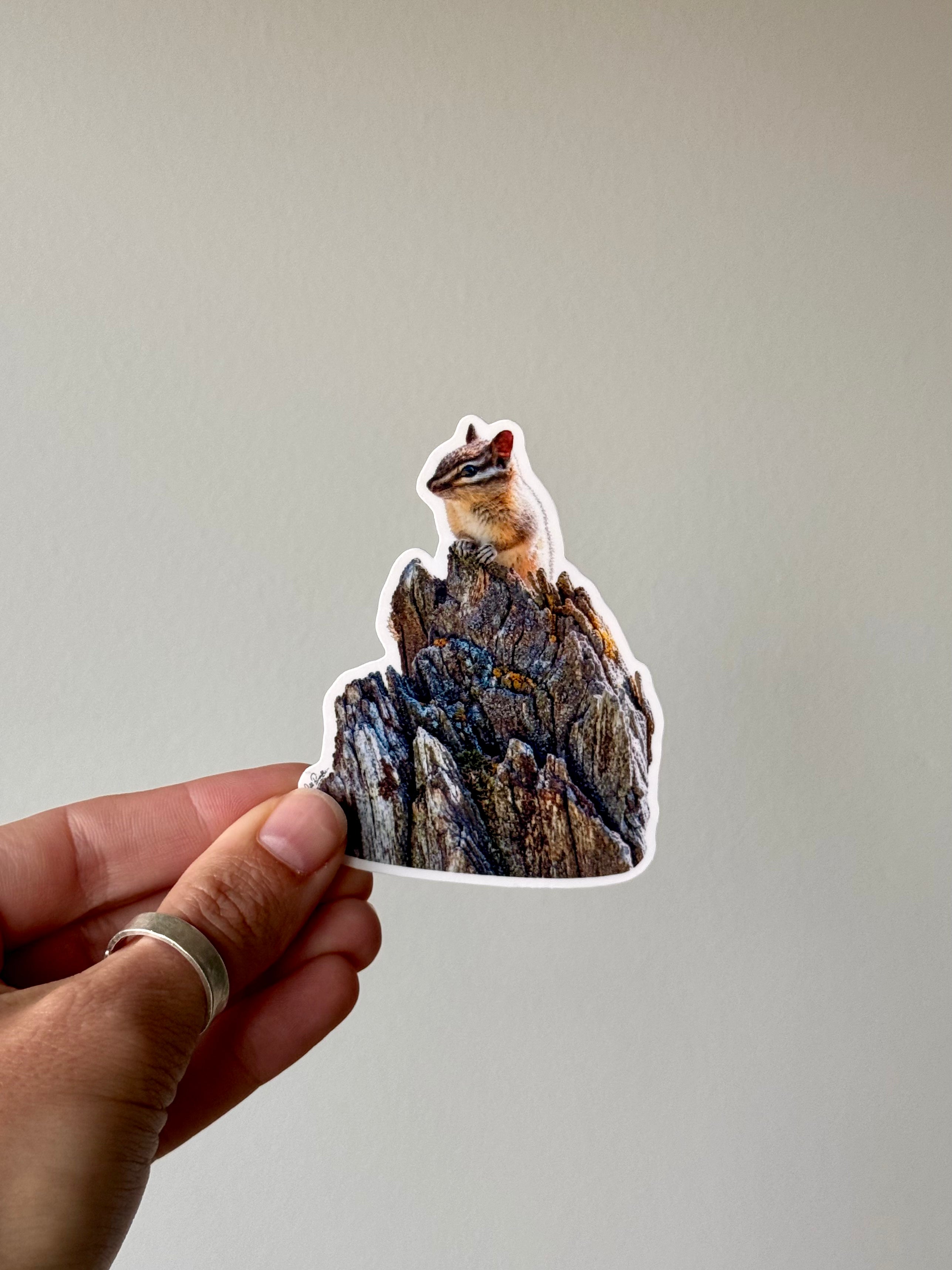 Chipmunk Photo Sticker