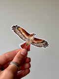 Red Tailed Hawk Sticker