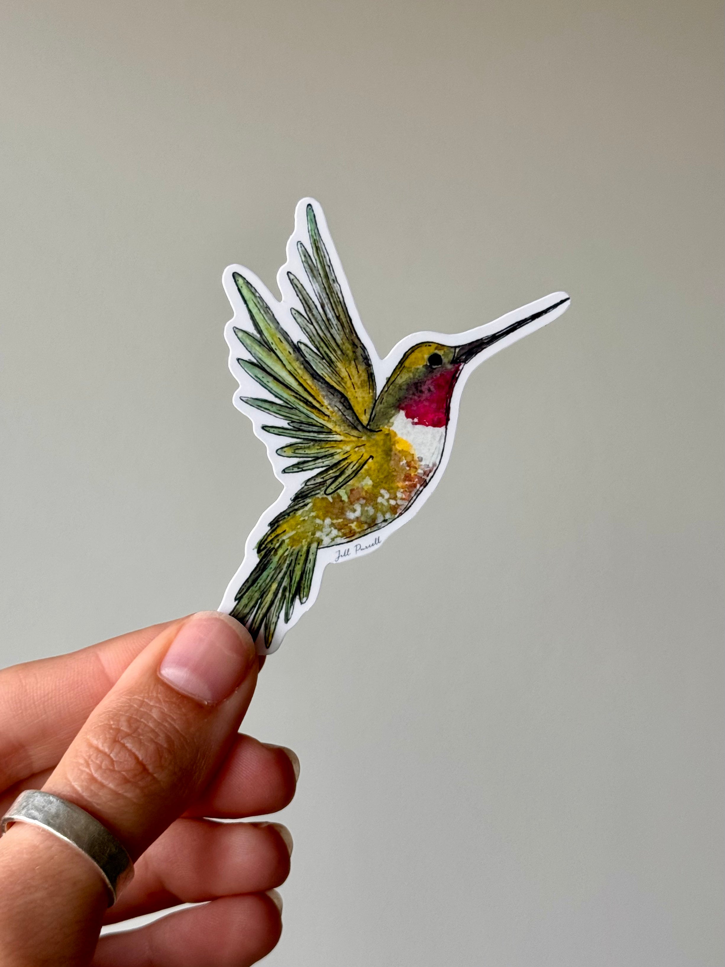 Hummingbird Sticker