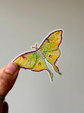 Lunar Moth Sticker