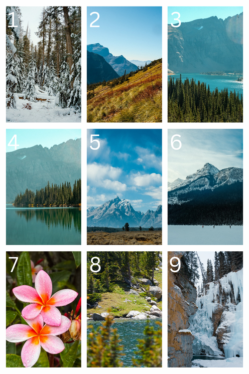 Landscape Postcards