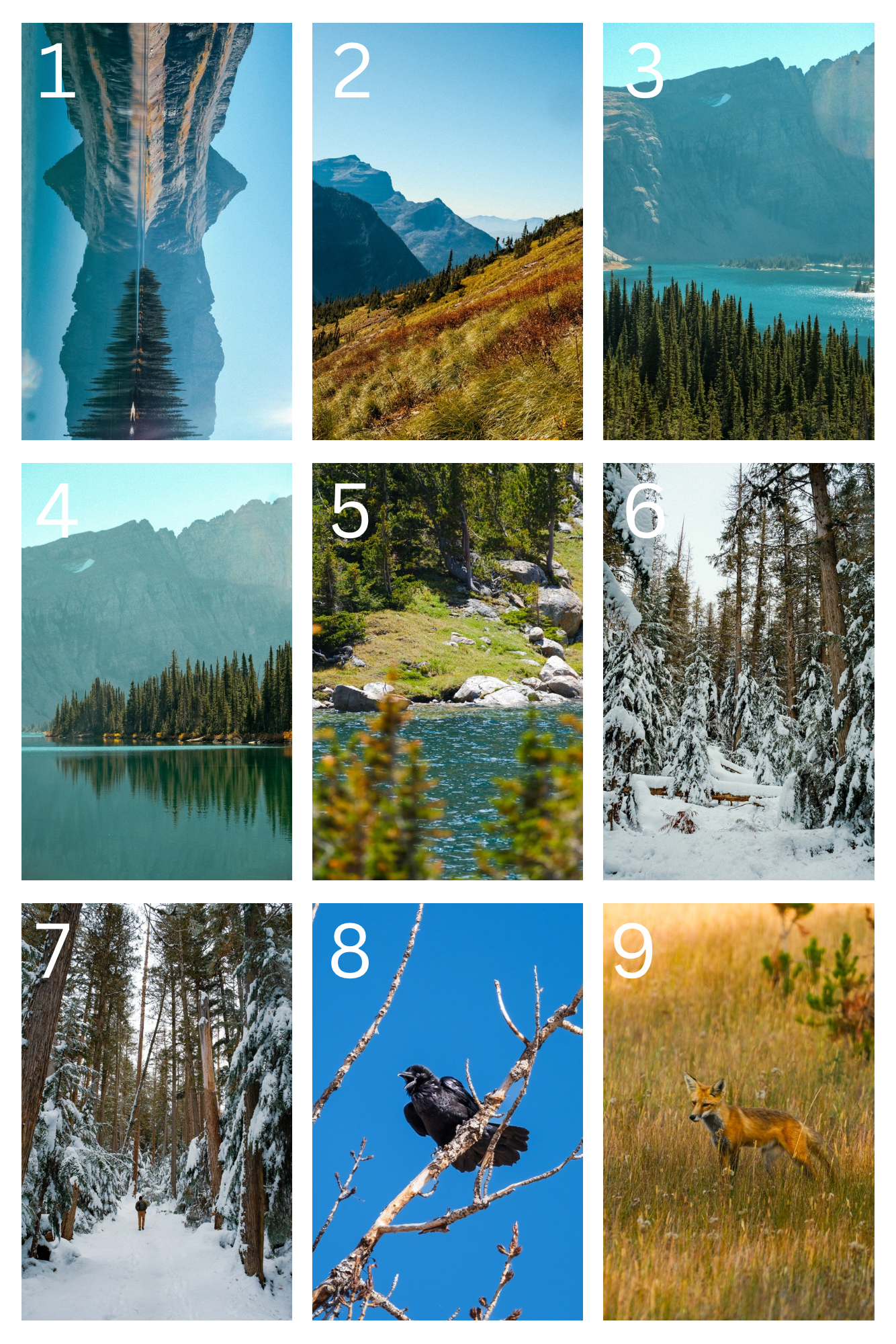 Montana Postcards