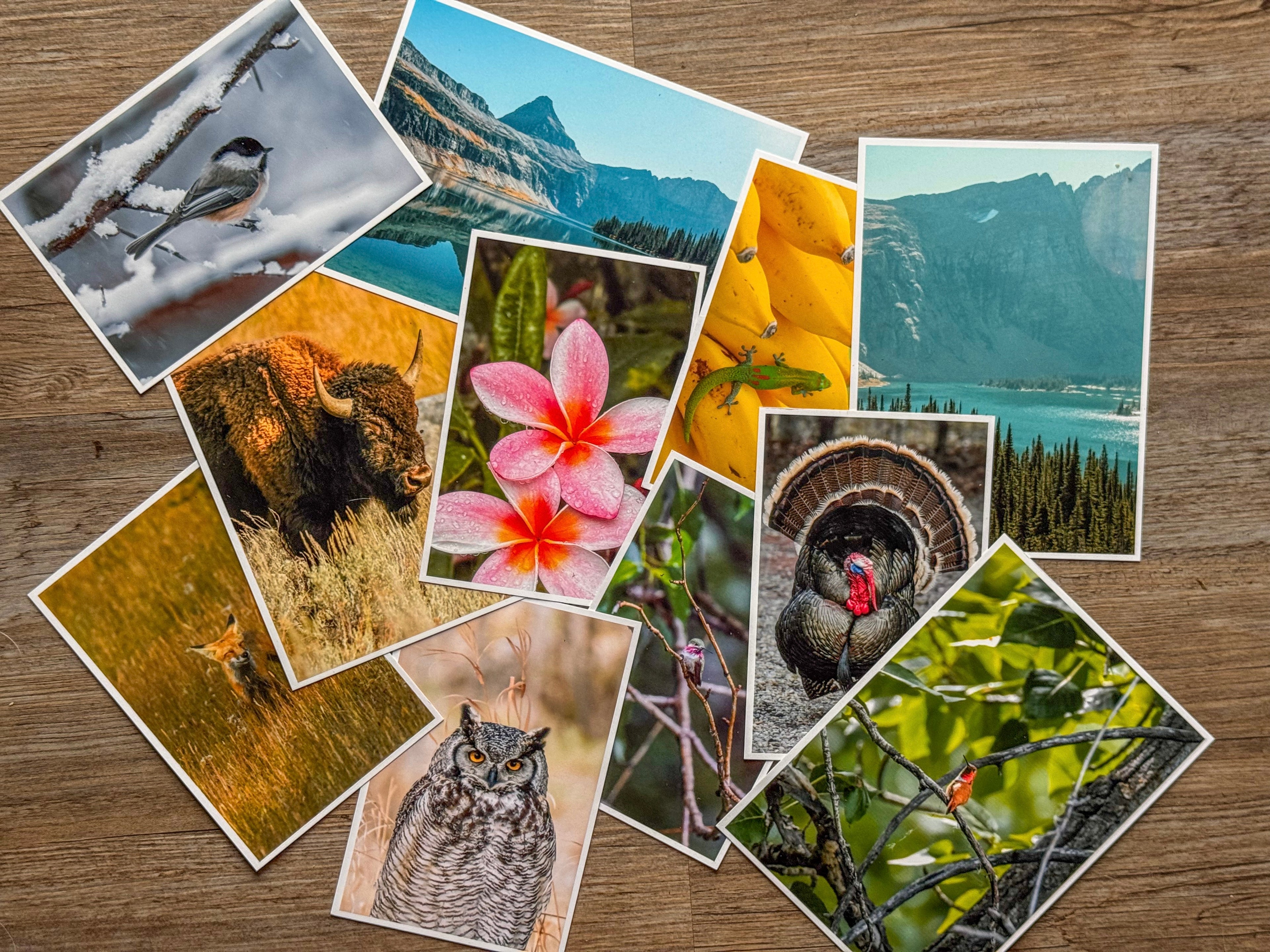Mystery Postcard Pack – 5 Cards