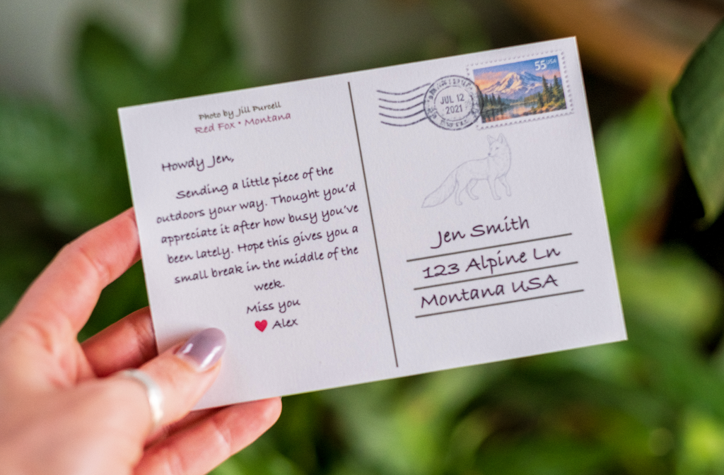 Personalized Postcard (Printed & Mailed)